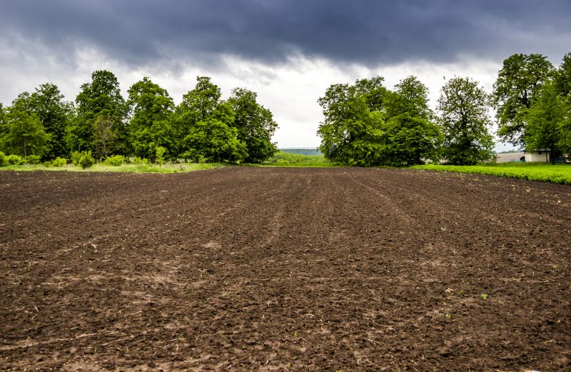 Farm Clearing in Salt Lake City, UT